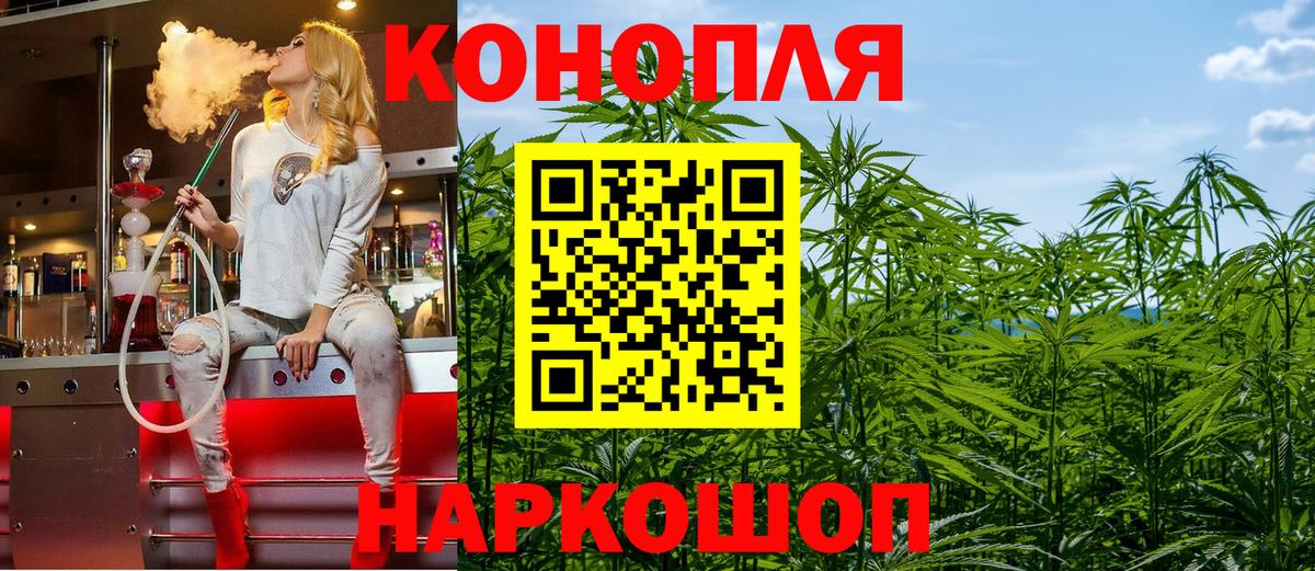 Бошки Шишки марихуана Кисловодск